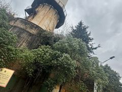 -长虫山生态公园风景林