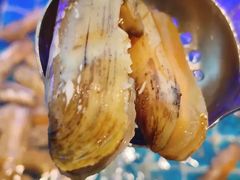 -透明思烤·自助烤肉海鲜火锅(东部星悦天地店)