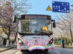 -高东镇樱花园