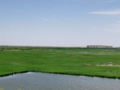 -南大港湿地风景区