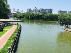 -朝阳公园游乐园