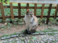 -西园戒幢律寺