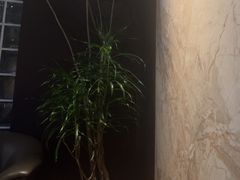 -villaa·别墅·融合菜西餐厅
