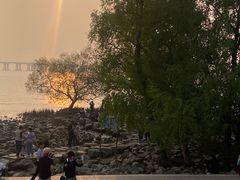 -宝安西湾红树林湿地公园