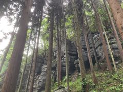 -梭布垭石林景区