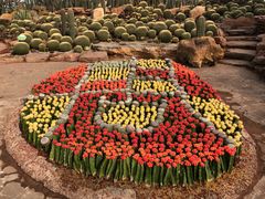 -南通洲际绿博园