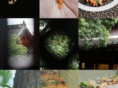 -宁波市保国寺古建筑博物馆