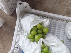 -马陆小张葡萄园农家乐