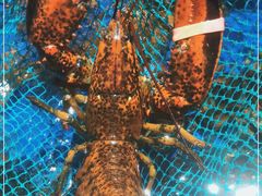 -盒马鲜生(顺义店)