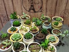 -鱼醉无骨鱼·中山脆肉鲩(荔湾路店)