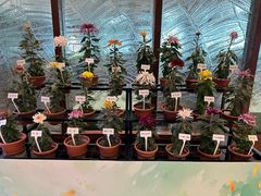 -小榄人家酒楼(民安店)