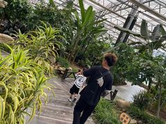 -北戴河集发农业梦想王国