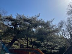 -潭柘寺景区