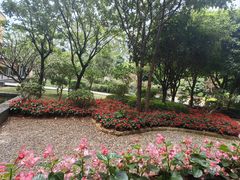-南宁荔园维景国际酒店·荔园中餐厅