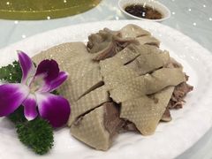 -鹅城