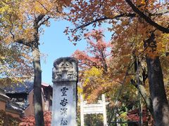 -灵谷景区