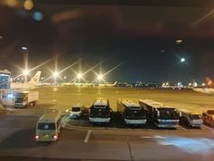 -青岛胶东国际机场