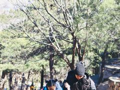 -北京鹫峰国家森林公园