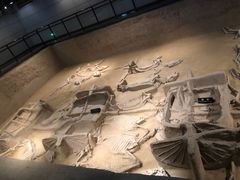 -洛阳周王城天子驾六博物馆