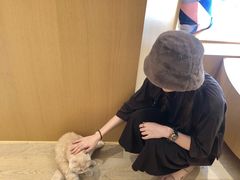 -CAT’S MEWSTAR CAFE·喵星球猫屋(晴湾咖啡店)