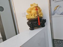 -丽奢妍美丽健康管理中心