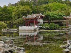 -顺峰山公园