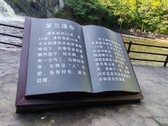 -茅兰沟国家森林公园