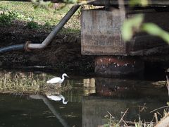 -西湖风景区-江洋畈生态公园