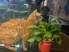 -夜猫子串吧·龙虾.江西小炒(万塘路店)
