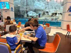 -帝企鹅自助餐厅•儿童岛•真企鹅(长隆企鹅酒店)