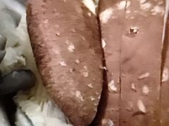 -丽江庭院之丽江往事(安定门店)