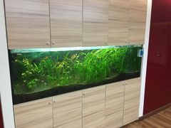 -九华体检中心(今晚报分店)