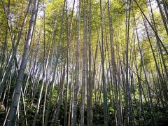 -南昆山川龙瀑布