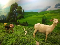 -酷嗒动物文化乐园(cutezoo西溪乐天城店)