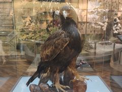 -陕西自然博物馆