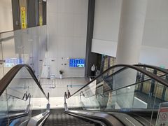 -上海游泳馆(地铁站)