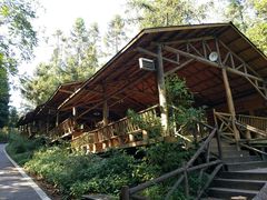 -武陵山森林公园
