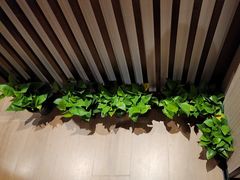 -慢慢中医馆·推拿·艾灸·正骨(上梅林店)