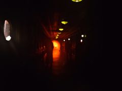 -武汉知音号