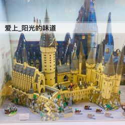 -乐高授权专卖店(朝阳大悦城店)