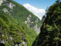 -鹿院坪生态旅游景区