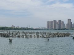 -金鸡湖景区