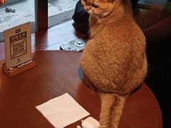 -咖法森林·咖啡  酒吧(天河店)