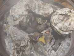 -鲜小岛·铜锅涮肉