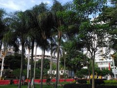 -金砂公园