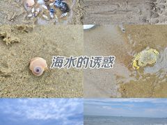 -阳光海岸露营公园