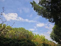 -美芝莲(钻汇广场店)