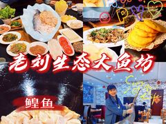 -老刘生态大鱼坊铁锅炖鱼(赛马场店)