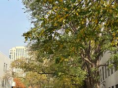 -辽宁大学(崇山校区)