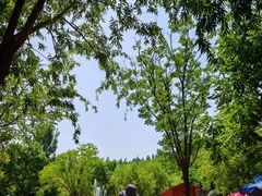 -西部长青自然儿童乐园